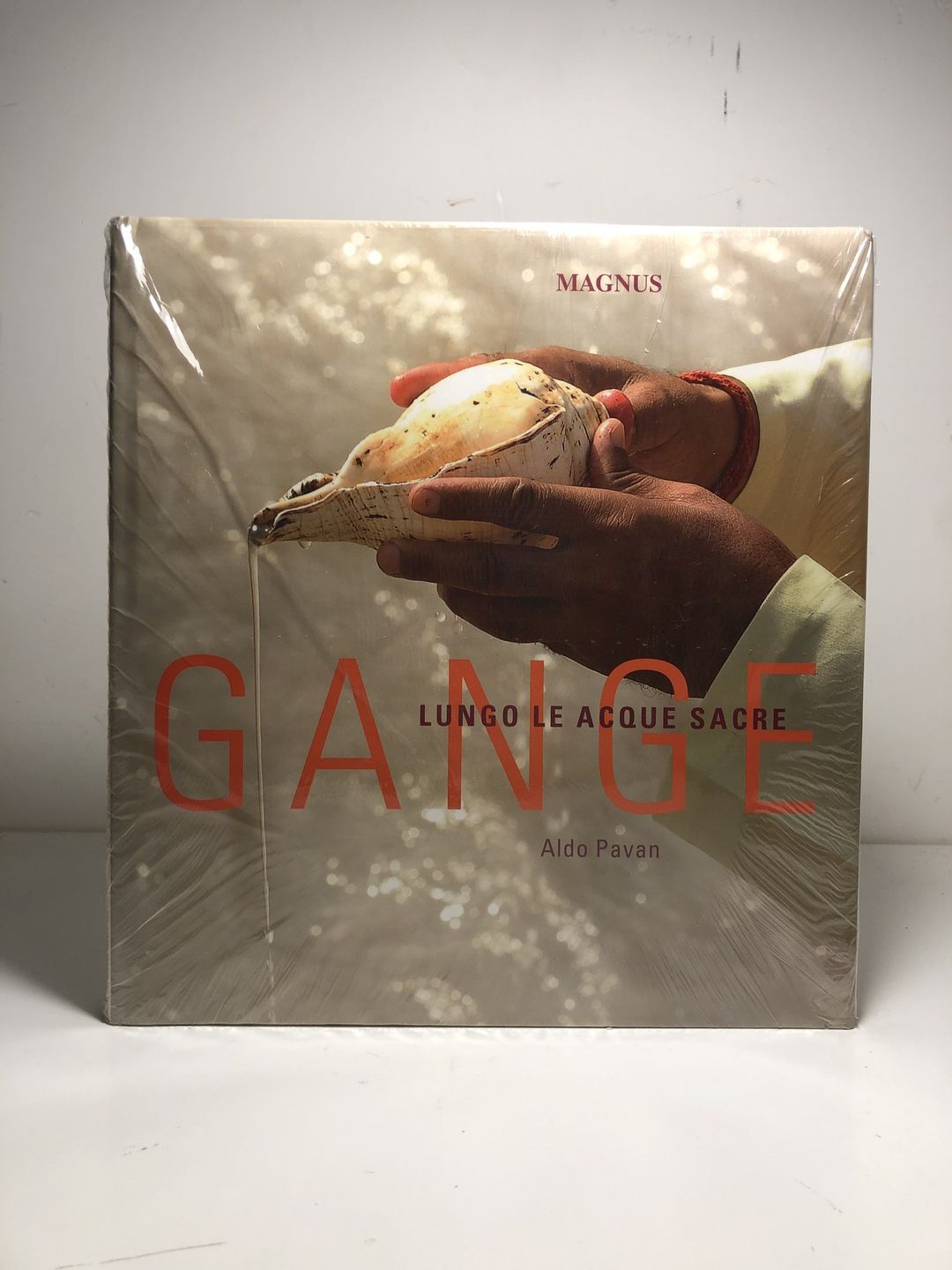 Gange. Lungo le acque sacre. Ediz. illustrata